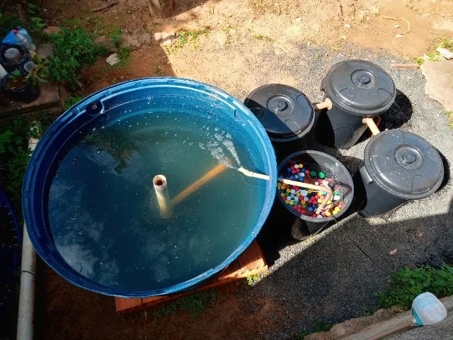 Sistema completo para criação de Tilápias em caixa d'água de 1000 litros