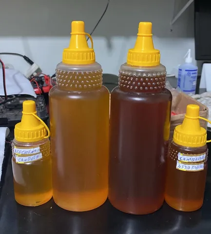 Mel puro, varias floradas e Própolis Verde Alecrim Silvestre70%