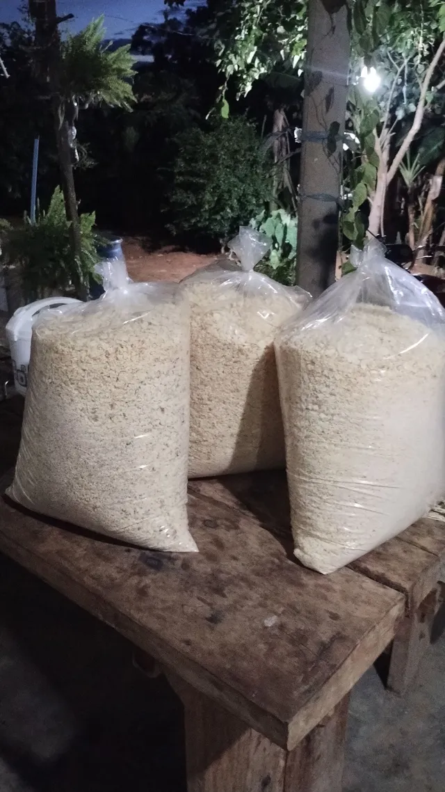Farinha biju