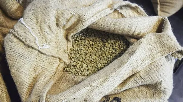 Saca de Café Gourmet - 60KG