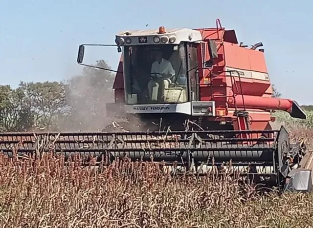 Colheitadeira Massey Ferguson MF 34 . 