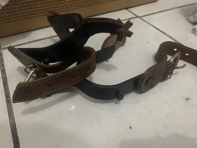 Vendo par de esporas