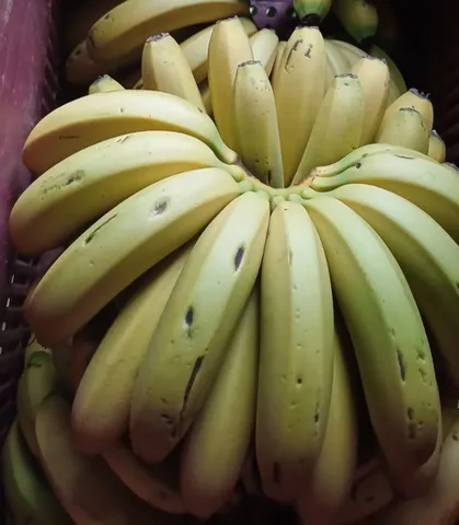 Vendo banana 