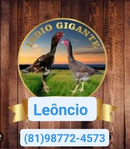 Filhotes índio gigante genética Leoncio 