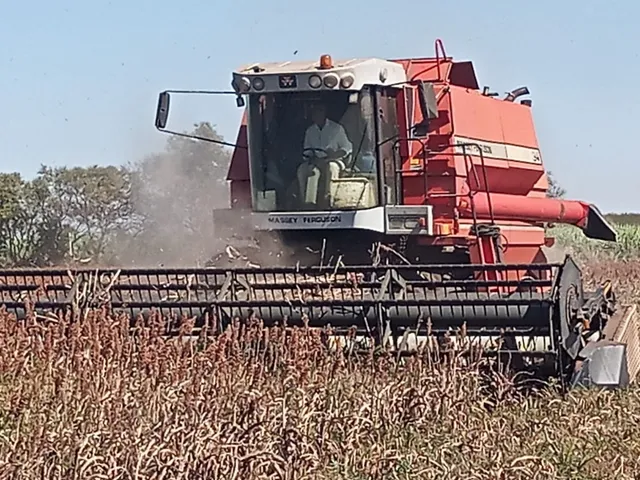 Colheitadeira Massey Ferguson MF 34 