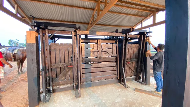 Tronco e balança eletrônica 