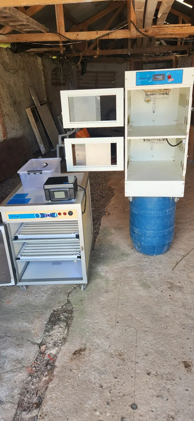 Chocadeira Automática Elétrica + Criadeira Chocmaster
