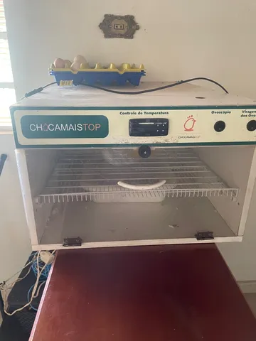 Chocadeira 120 ovos 