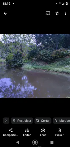 Vendo Roça de cacau e pasto