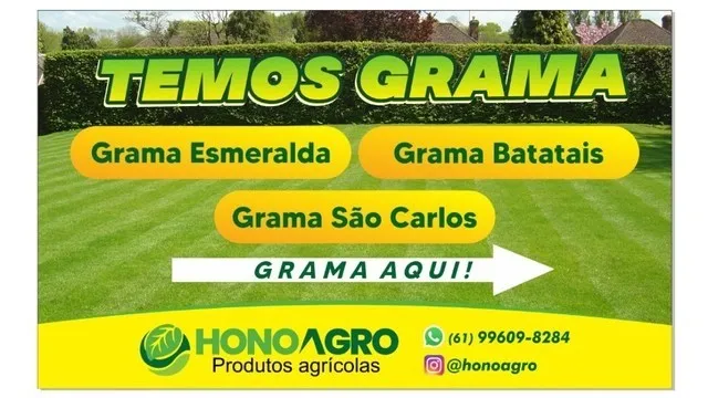 grama esmeralda R$14,80 Avista metro quadrado