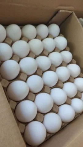 Ovos Regional Direto Da Granja