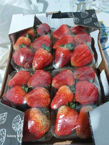 Caixa Morango com 4 banjejas