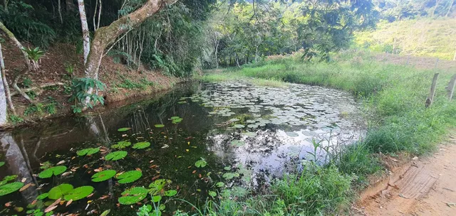 Vendo Sito no Bairro Vecchi, área rural de Cachoeiras de Macacu a menos de 2km da Pista
