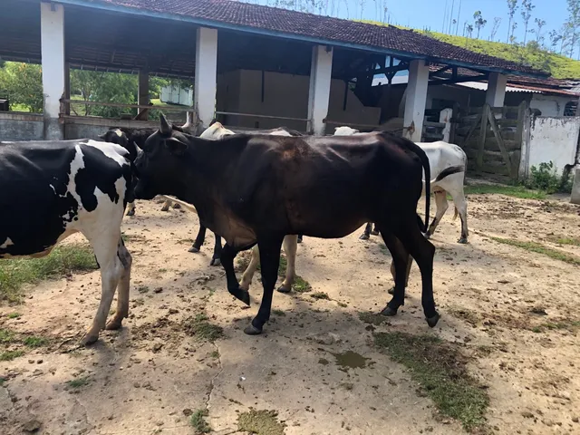 Vende-se 