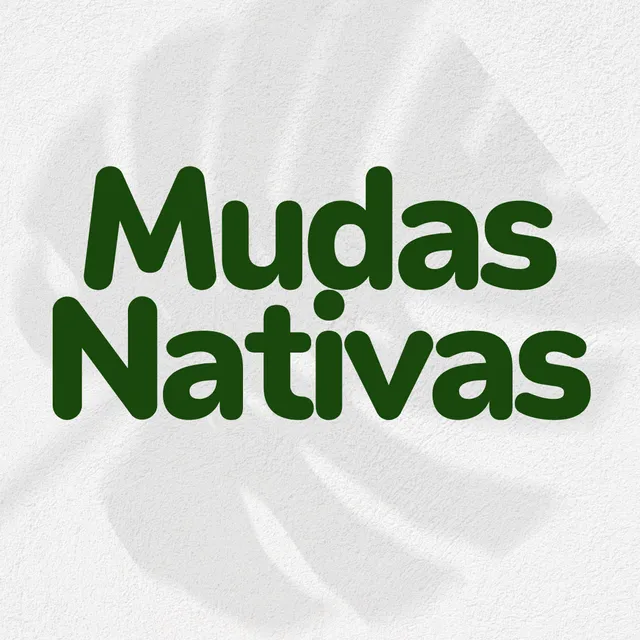  Mudas de Nativas