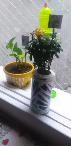 Plantas