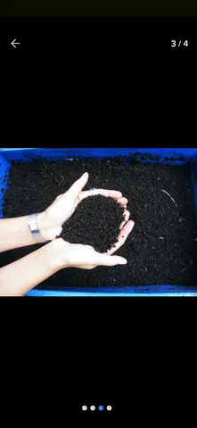Minhocas e. Humos 