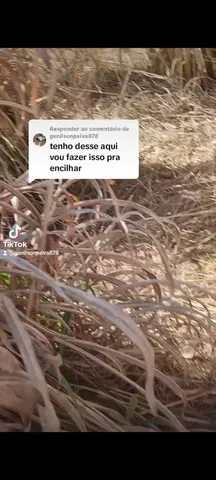 Propriedade pra arrendamento 