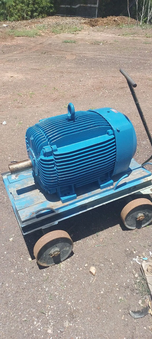 Weg 50 CV 1140 RPM 