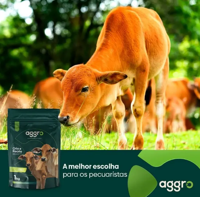 Suplemento para gado corte, leite, engorda e cria e recria.