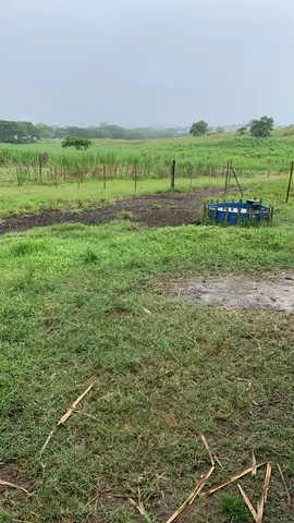 Vendo Silo de capim Açu 