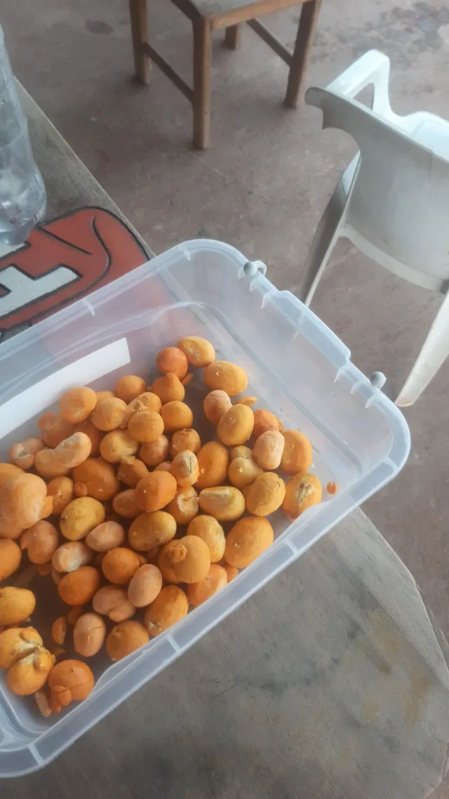 Vendo piqui 8 reais a dúzia 