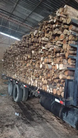 Temos cargas de lenha de eucalipto para caldeiras/queimas em geral.