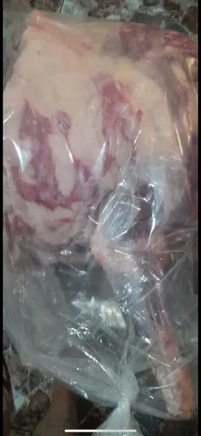 Carne de cabrito