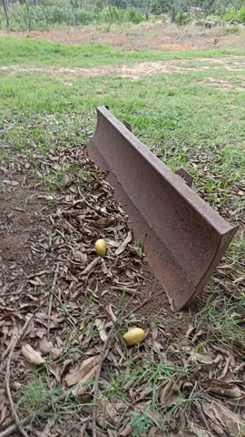 Vendo implementos 