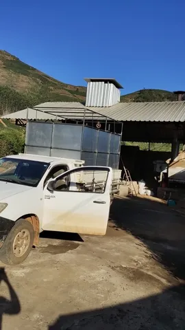 Gaiola boiadeira boi vaca novilha bezerro 