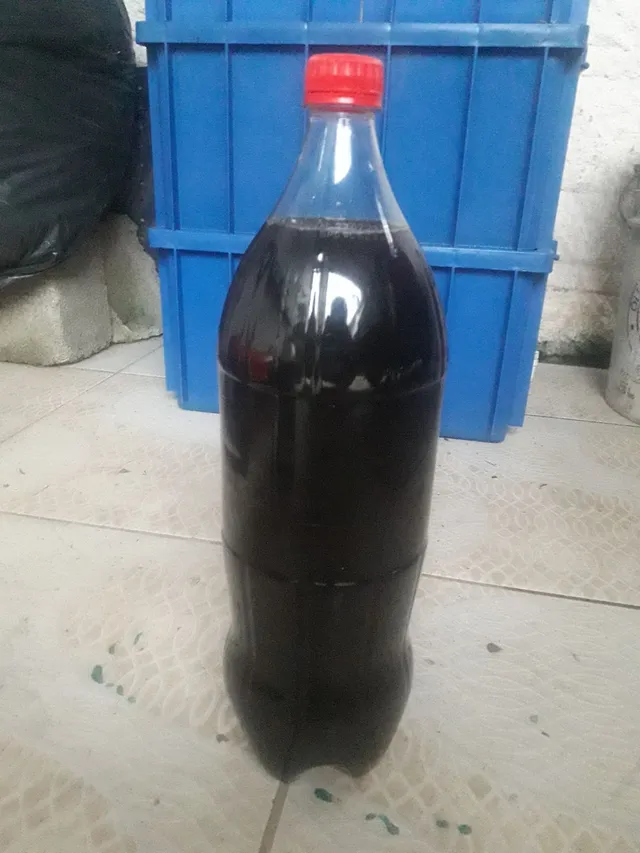 Biofertilizante concentrado chorume