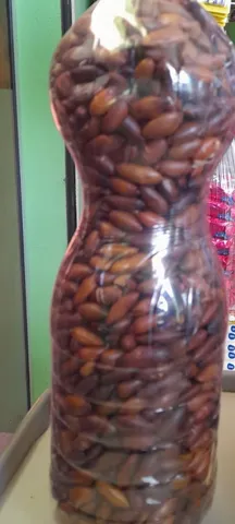 Castanha baru