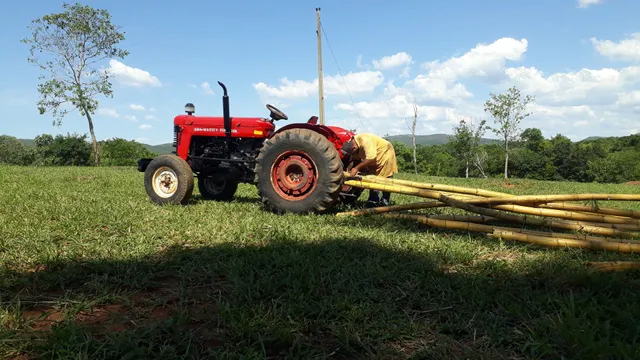 Vendo trator Massey Ferguson cinquentinha