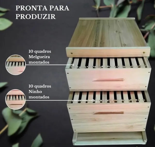 Caixa completa para abelha Apis, padrão langstroth.