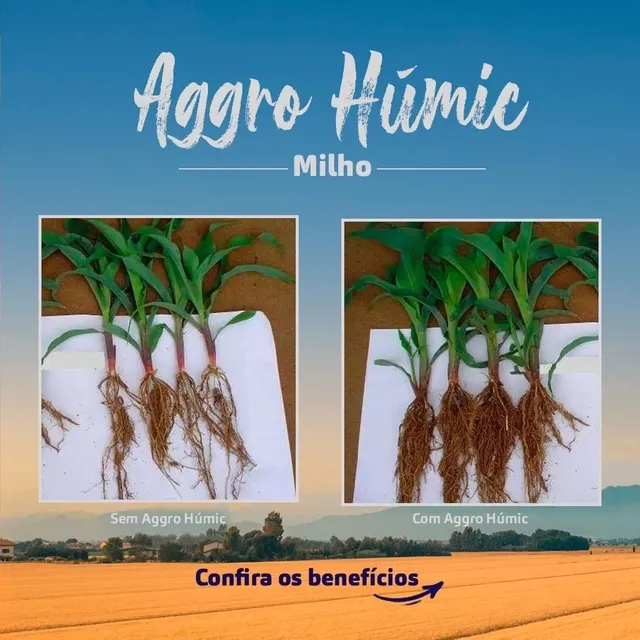Produtos para sua lavoura 