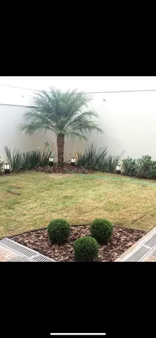 Grama de todos os tipos já plantada em promoção faça seu orçamento 