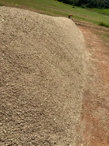 Silo de milho