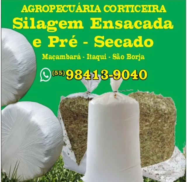 Silagem de milho ensacada e a granel 