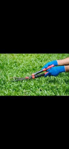 Grama para jardim, chácara, talude aproveite a promoção 