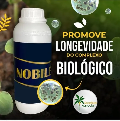 Nobile 
