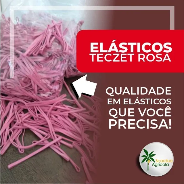 Elásticos