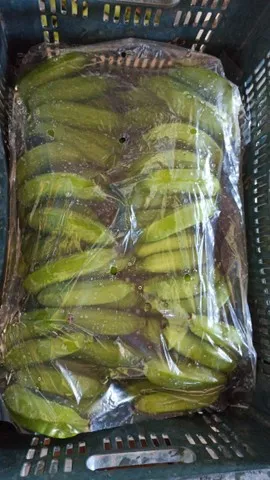 Separador penca