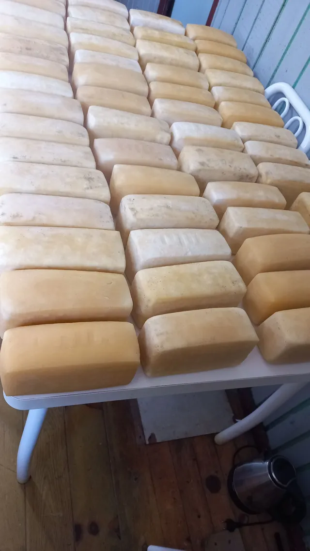 Vendo queijo serrano 