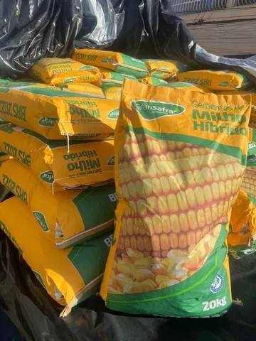 Sementes de Milho Híbrido e Sorgo Ponta Negra GranSafra - Nova
