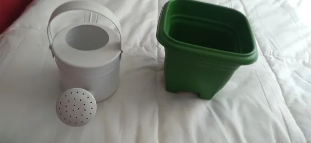 Vaso de planta e regador