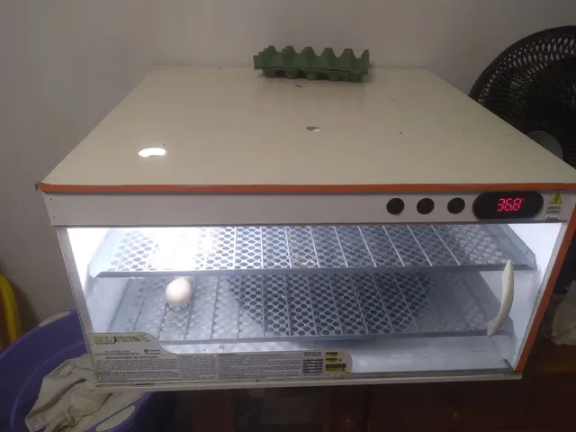 Chocadeira automática 
