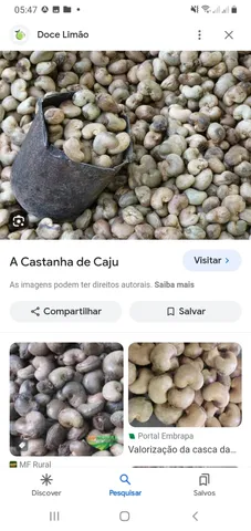 Castanha de caju