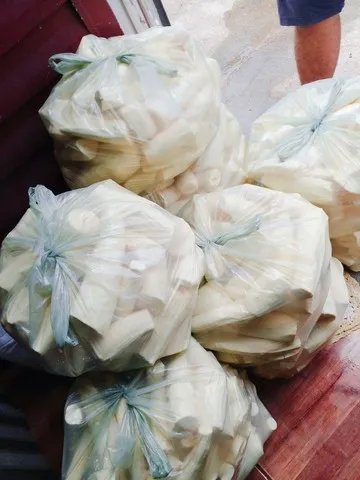 Macaxeira para café da manhã e salgados
