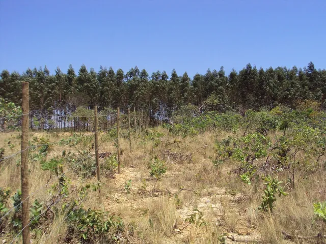 Lote plano no alto da serra 1000mt Jaboticatubas