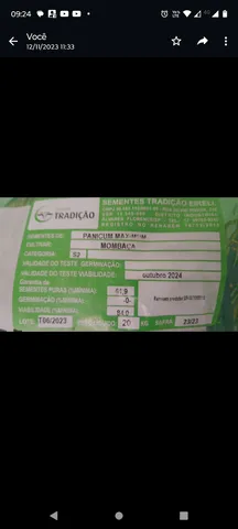 Sementes para capim "pasto" MOMBAÇA,BRUZANTHA, MG-5